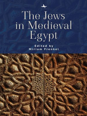cover image of The Jews in Medieval Egypt